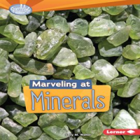 Marveling_at_Minerals